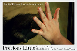 "Precious Little" by Madeleine George, produced by Gadfly Theatre. Photo from gadflytheatre.org